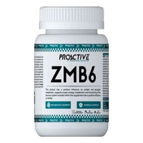 ProActive ZMB6 90tab