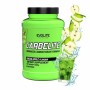 CarbElite 1