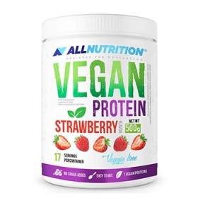 Vegan Protein 500g