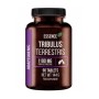 Tribulus terrestris 1100 90 tabs