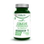 Coleus Forskohlii 60cps
