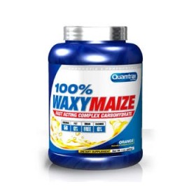 Waxy Maize 100% 2