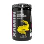 Xamin 312 gr Aminoacidi Essenziali