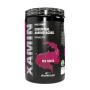 Xamin 312 gr Aminoacidi Essenziali