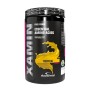 Xamin 312 gr Aminoacidi Essenziali