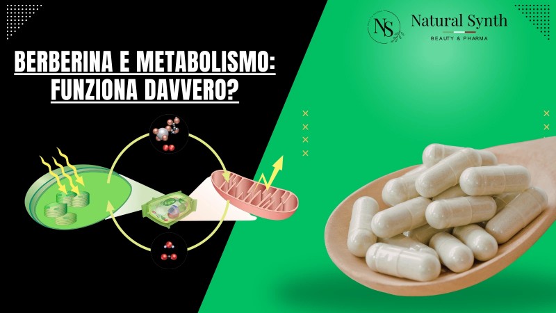 Berberina e metabolismo: funziona davvero? Natural Synth 